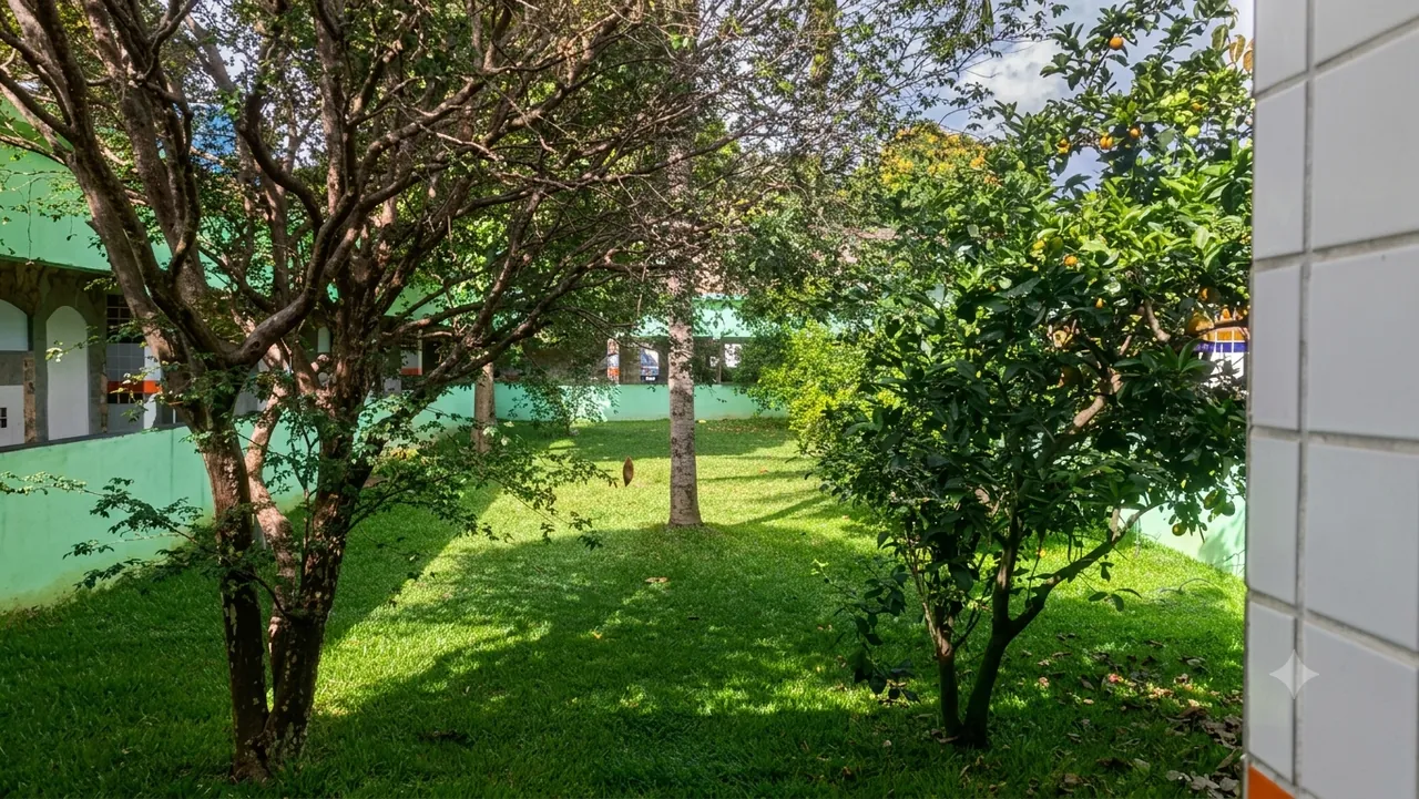 Jardim arborizado com árvores frutíferas