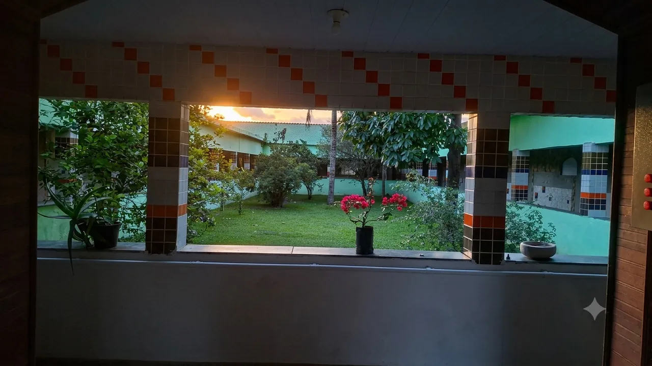 Vista do jardim ao entardecer, com flores